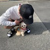 user