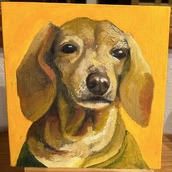 油絵で愛犬・愛猫をかわいく描きます 油絵の具特有の色味と存在感を用
